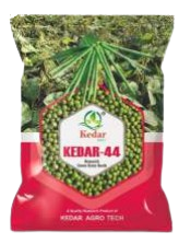 रिसर्च मूंग केदार-44